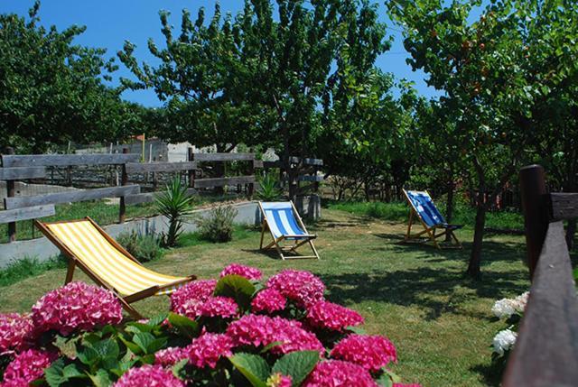 Agriturismo Terra E Cielo Serra Rocco Extérieur photo